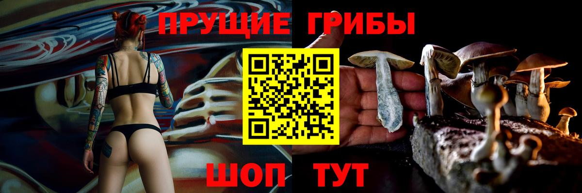 Звенигород  Псилоцибиновые грибы MAGIC MUSHROOMS  Вход с VPN  Галлюциногенные грибы мицелий 